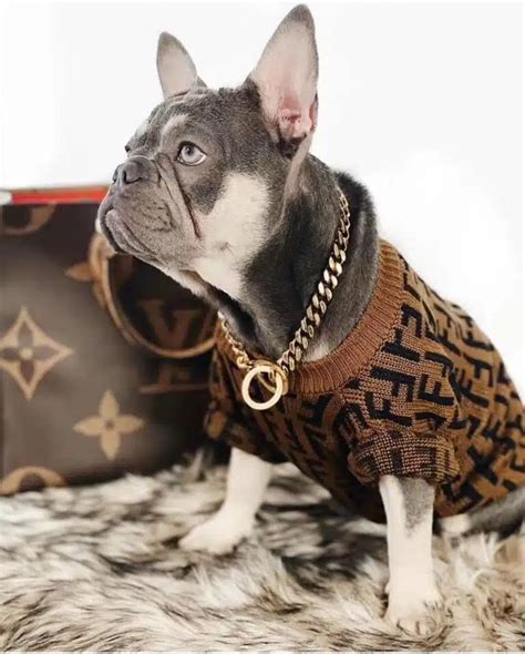 fendi dog jumper|Fendi jumpers men.